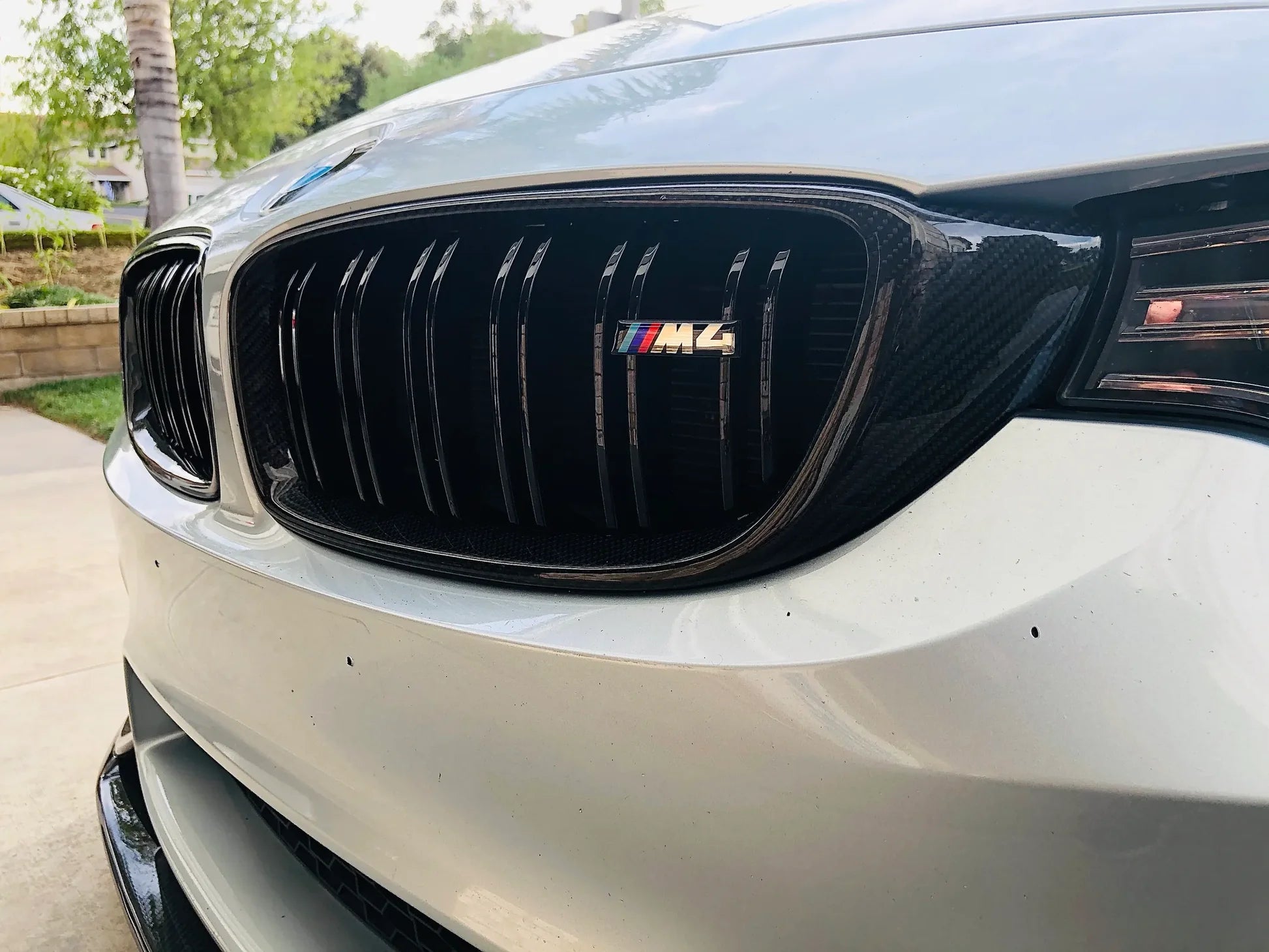 BMW 4 Series & M3 M4 Carbon Fibre Front Grills F32 F33 F36 F80 F82 F83 (2014-2020)